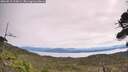 ./images/calvert/fitz-hugh-hecate/20260818/fitz-hugh-hecate20260818_114001M.jpg