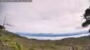 ./images/calvert/fitz-hugh-hecate/20260818/fitz-hugh-hecate20260818_115002M.jpg