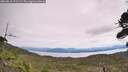 ./images/calvert/fitz-hugh-hecate/20260818/fitz-hugh-hecate20260818_121502M.jpg