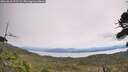 ./images/calvert/fitz-hugh-hecate/20260818/fitz-hugh-hecate20260818_122502M.jpg