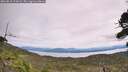 ./images/calvert/fitz-hugh-hecate/20260818/fitz-hugh-hecate20260818_123002M.jpg