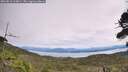 ./images/calvert/fitz-hugh-hecate/20260818/fitz-hugh-hecate20260818_125001M.jpg
