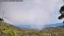 ./images/calvert/fitz-hugh-hecate/20260818/fitz-hugh-hecate20260818_135001M.jpg