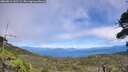 ./images/calvert/fitz-hugh-hecate/20260818/fitz-hugh-hecate20260818_142501M.jpg