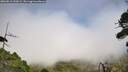./images/calvert/fitz-hugh-hecate/20260818/fitz-hugh-hecate20260818_150002M.jpg