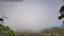 ./images/calvert/fitz-hugh-hecate/20260818/fitz-hugh-hecate20260818_160001M.jpg