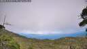 ./images/calvert/fitz-hugh-hecate/20260818/fitz-hugh-hecate20260818_163502M.jpg