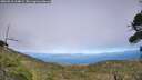 ./images/calvert/fitz-hugh-hecate/20260818/fitz-hugh-hecate20260818_164001M.jpg