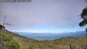 ./images/calvert/fitz-hugh-hecate/20260818/fitz-hugh-hecate20260818_165001M.jpg