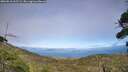 ./images/calvert/fitz-hugh-hecate/20260818/fitz-hugh-hecate20260818_165501M.jpg