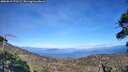 ./images/calvert/fitz-hugh-hecate/20260818/fitz-hugh-hecate20260818_171501M.jpg