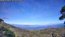 ./images/calvert/fitz-hugh-hecate/20260818/fitz-hugh-hecate20260818_172001M.jpg