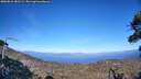 ./images/calvert/fitz-hugh-hecate/20260818/fitz-hugh-hecate20260818_181501M.jpg