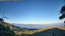 ./images/calvert/fitz-hugh-hecate/20260818/fitz-hugh-hecate20260818_195501M.jpg
