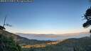 ./images/calvert/fitz-hugh-hecate/20260818/fitz-hugh-hecate20260818_202002M.jpg