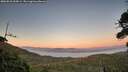 ./images/calvert/fitz-hugh-hecate/20260818/fitz-hugh-hecate20260818_204501M.jpg