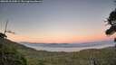 ./images/calvert/fitz-hugh-hecate/20260818/fitz-hugh-hecate20260818_205001M.jpg