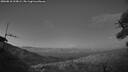 ./images/calvert/fitz-hugh-hecate/20260818/fitz-hugh-hecate20260818_213001M.jpg