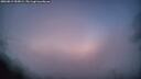 ./images/calvert/fitz-hugh-hecate/20260819/fitz-hugh-hecate20260819_055001M.jpg