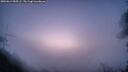 ./images/calvert/fitz-hugh-hecate/20260819/fitz-hugh-hecate20260819_055501M.jpg