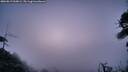 ./images/calvert/fitz-hugh-hecate/20260819/fitz-hugh-hecate20260819_060001M.jpg