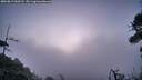 ./images/calvert/fitz-hugh-hecate/20260819/fitz-hugh-hecate20260819_060502M.jpg