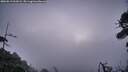 ./images/calvert/fitz-hugh-hecate/20260819/fitz-hugh-hecate20260819_061001M.jpg