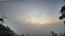 ./images/calvert/fitz-hugh-hecate/20260819/fitz-hugh-hecate20260819_063001M.jpg