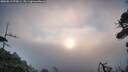 ./images/calvert/fitz-hugh-hecate/20260819/fitz-hugh-hecate20260819_070001M.jpg