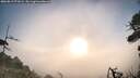 ./images/calvert/fitz-hugh-hecate/20260819/fitz-hugh-hecate20260819_071002M.jpg