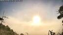./images/calvert/fitz-hugh-hecate/20260819/fitz-hugh-hecate20260819_072001M.jpg