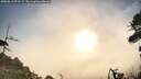 ./images/calvert/fitz-hugh-hecate/20260819/fitz-hugh-hecate20260819_073502M.jpg