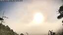 ./images/calvert/fitz-hugh-hecate/20260819/fitz-hugh-hecate20260819_074001M.jpg