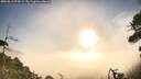 ./images/calvert/fitz-hugh-hecate/20260819/fitz-hugh-hecate20260819_074501M.jpg