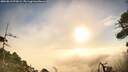 ./images/calvert/fitz-hugh-hecate/20260819/fitz-hugh-hecate20260819_075001M.jpg