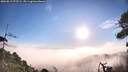 ./images/calvert/fitz-hugh-hecate/20260819/fitz-hugh-hecate20260819_075501M.jpg