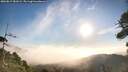./images/calvert/fitz-hugh-hecate/20260819/fitz-hugh-hecate20260819_081002M.jpg