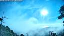 ./images/calvert/fitz-hugh-hecate/20260819/fitz-hugh-hecate20260819_083001M.jpg