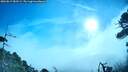 ./images/calvert/fitz-hugh-hecate/20260819/fitz-hugh-hecate20260819_083501M.jpg