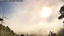 ./images/calvert/fitz-hugh-hecate/20260819/fitz-hugh-hecate20260819_084001M.jpg
