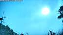 ./images/calvert/fitz-hugh-hecate/20260819/fitz-hugh-hecate20260819_084502M.jpg