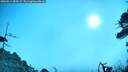 ./images/calvert/fitz-hugh-hecate/20260819/fitz-hugh-hecate20260819_085001M.jpg