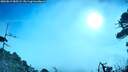 ./images/calvert/fitz-hugh-hecate/20260819/fitz-hugh-hecate20260819_085501M.jpg