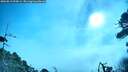 ./images/calvert/fitz-hugh-hecate/20260819/fitz-hugh-hecate20260819_090001M.jpg