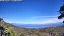 ./images/calvert/fitz-hugh-hecate/20260819/fitz-hugh-hecate20260819_151001M.jpg
