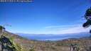 ./images/calvert/fitz-hugh-hecate/20260819/fitz-hugh-hecate20260819_152502M.jpg