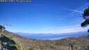 ./images/calvert/fitz-hugh-hecate/20260819/fitz-hugh-hecate20260819_154001M.jpg