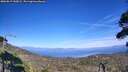 ./images/calvert/fitz-hugh-hecate/20260819/fitz-hugh-hecate20260819_155001M.jpg
