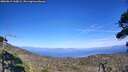 ./images/calvert/fitz-hugh-hecate/20260819/fitz-hugh-hecate20260819_160001M.jpg