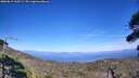 ./images/calvert/fitz-hugh-hecate/20260819/fitz-hugh-hecate20260819_160501M.jpg